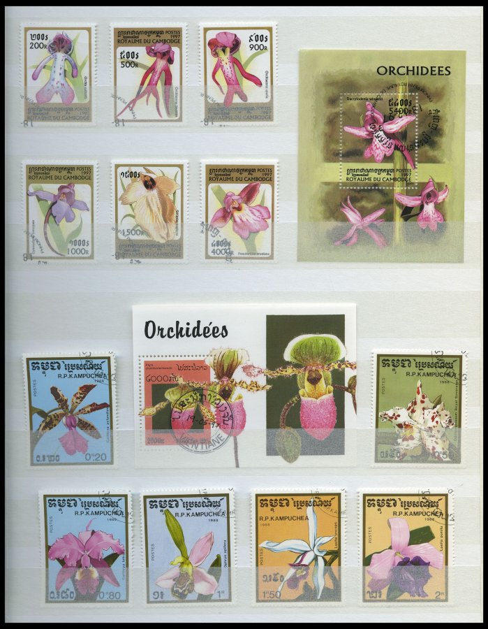 Lot 6335 - STAMPS - COLLECTIONS - LOTS TOPICAL COLLECTIONS - STAMPS - Nordphila e.K. Stamp Auction #446 Lot 6335 - STAMPS - COLLECTIONS - LOTS TOPICAL COLLECTIONS - STAMPS - Nordphila e.K. Stamp Auction #446