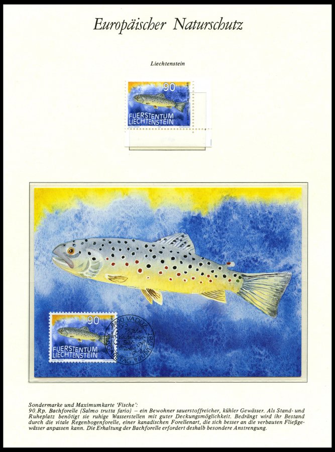 Lot 6338 - STAMPS - COLLECTIONS - LOTS TOPICAL COLLECTIONS - STAMPS - Nordphila e.K. Stamp Auction #446 Lot 6338 - STAMPS - COLLECTIONS - LOTS TOPICAL COLLECTIONS - STAMPS - Nordphila e.K. Stamp Auction #446
