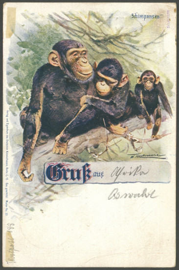 https://philabild.de/nordphila/bilder/mittel_450/0138302b.jpg